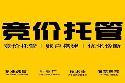 专业SEM托管：企业广告投放的明智之选